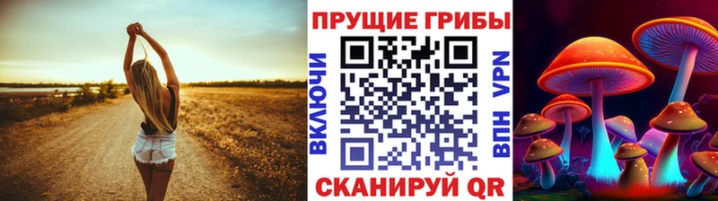 Купить где  Заволжье  Псилоцибиновые грибы MAGIC MUSHROOMS 